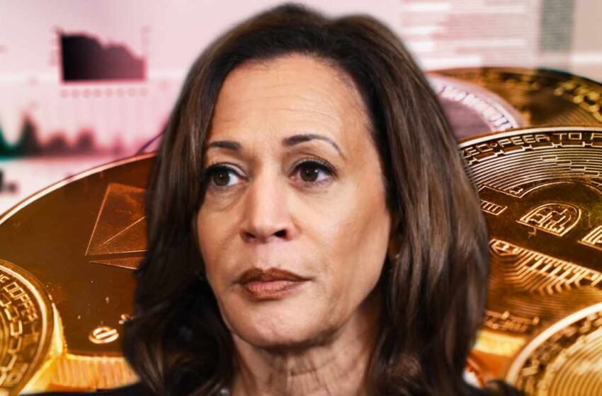  Democrats Launch ‘Crypto for Harris’ — White House Officials Address Industry Concerns