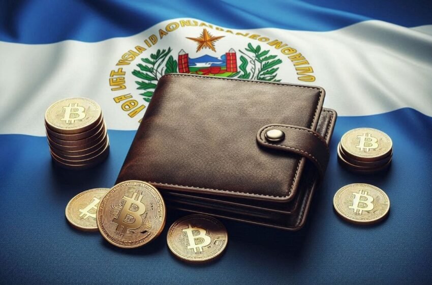  El Salvador’s Chivo Wallet Has Not Presented Any Financial Balances Since Its Creation