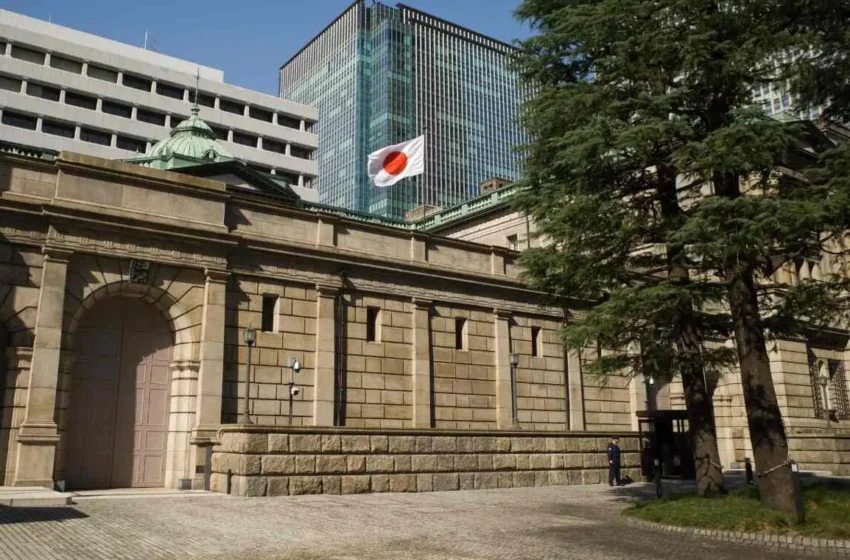  Ex-Bank Of Japan Board Member Expects No Further Rate Increases in 2024