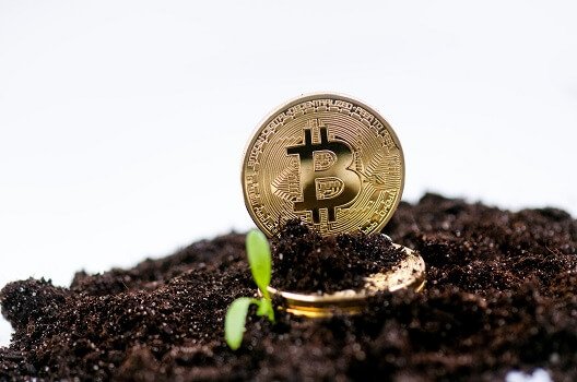  Bitfarms agrees to buy Stronghold Digital for $175M in stock and debt