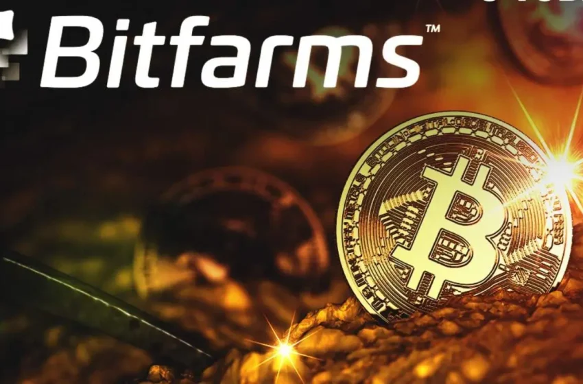  Bitfarms Sees Share Surge Following Strong Q2 Financial Report