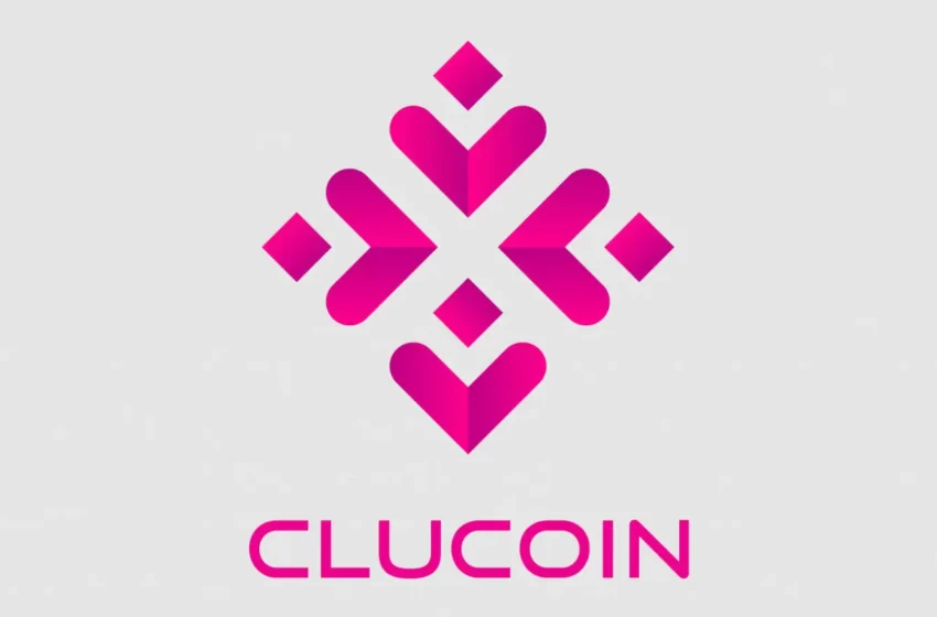  CluCoin Founder Admits to Embezzling Over $1 Million for Online Gambling