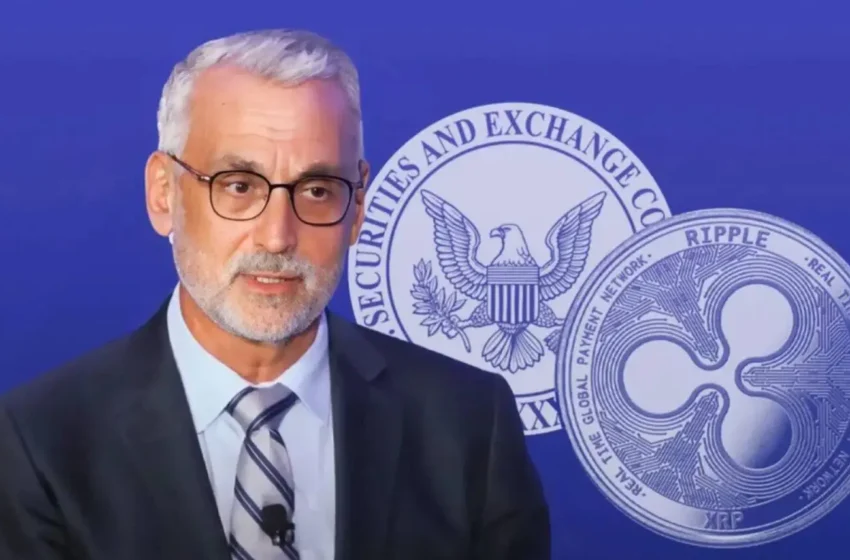  Ripple CLO Stuart Alderoty Takes Aim at SEC Over OpenSea NFT Wells Notice