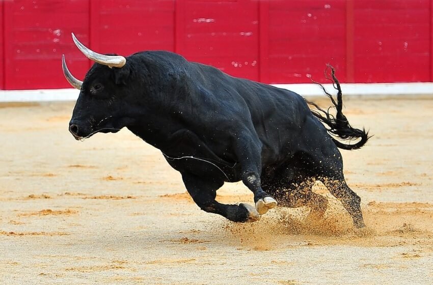 Europe’s fourth largest hedge fund discloses $500m in spot Bitcoin ETFs
