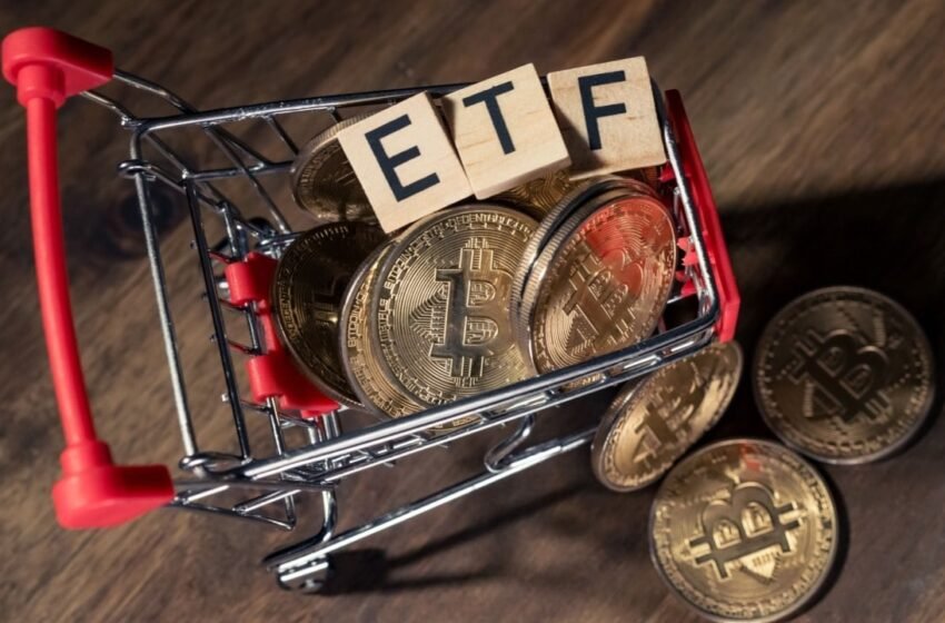  Capula Management Invests $464 Million in Bitcoin ETFs, Signaling Institutional Interest