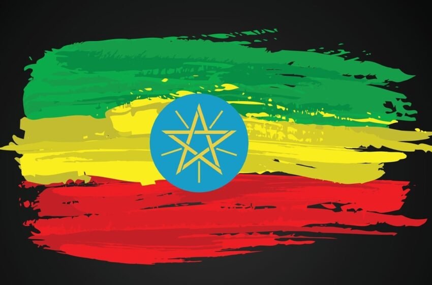  Ethiopia Announces Launch of Forex Auction Sale Days After Birr Float