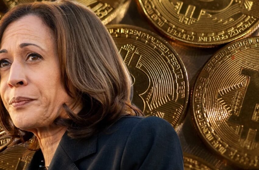  Kamala Harris’s Alleged ‘Crypto Reset’ Absent in Democratic Agenda
