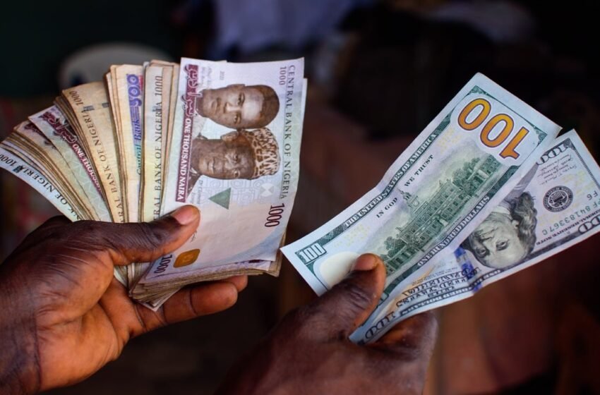  De-Dollarization Faltering in Africa Because Citizens Lack Confidence in Their National Currencies