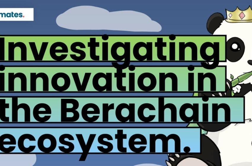  Investigating Innovation on Berachain