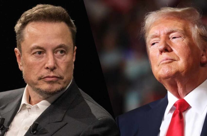  Elon Musk Offers to Assist Donald Trump Boost Government Efficiency