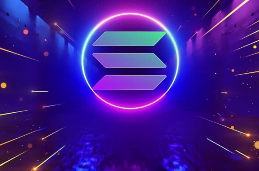  Solana Gains Ground on Ethereum and Bitcoin in 2024