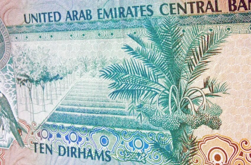  Tether plans to launch Dirham-pegged stablecoin