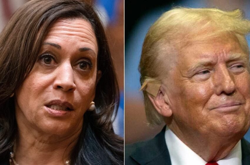  Coinshares Weighs Trump and Harris’ Impact on Bitcoin Ahead of 2024 Election