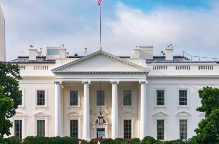  Donald Trump Considers Elon Musk for Cabinet Role