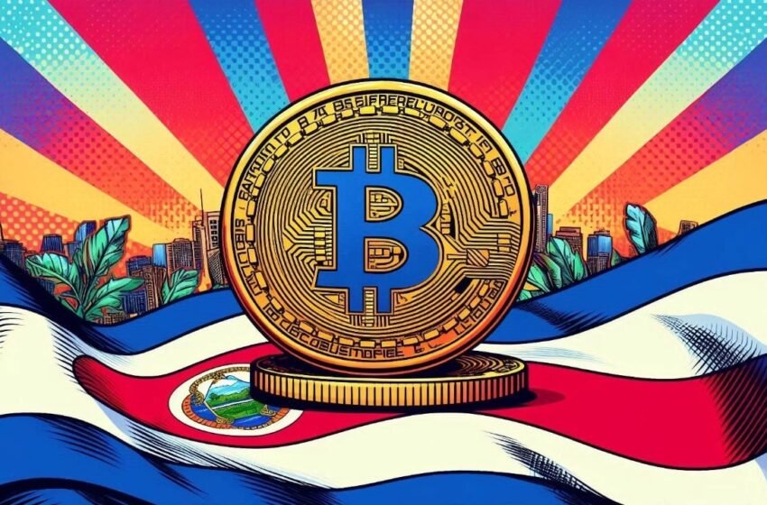  Lightning Wallet Osmo Brings Financial Services to Puerto Rico