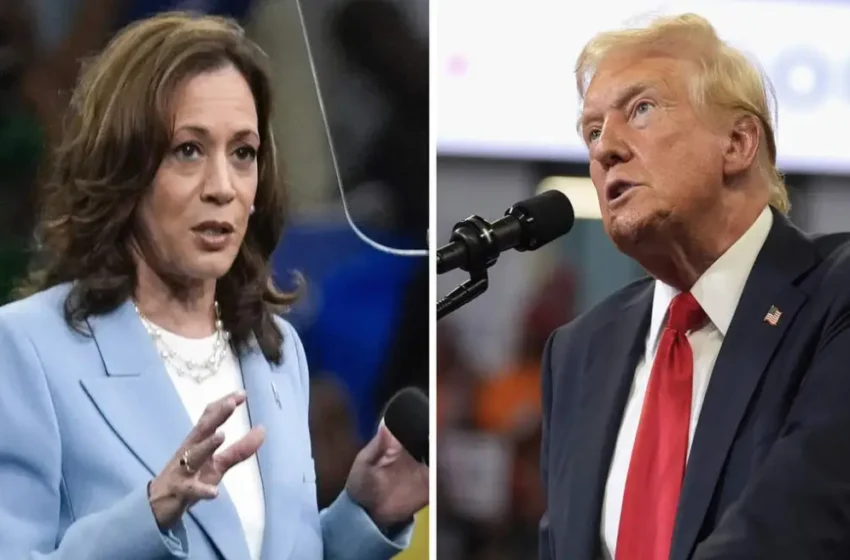  Kamala Harris and Donald Trump Set for First Debate as Betting Markets Surge