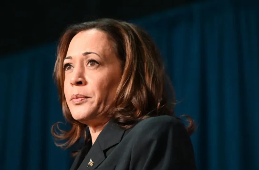  Democratic Donors Urge Kamala Harris to Replace FTC and SEC Leaders