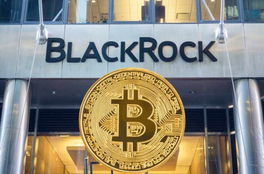  BlackRock CEO says Bitcoin is an opportunity: Bullish for Bitcoin Dogs?