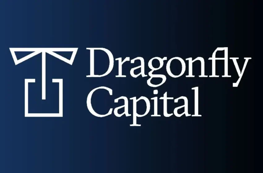  Dragonfly Capital Sets Sights on $500 Million for New Fund