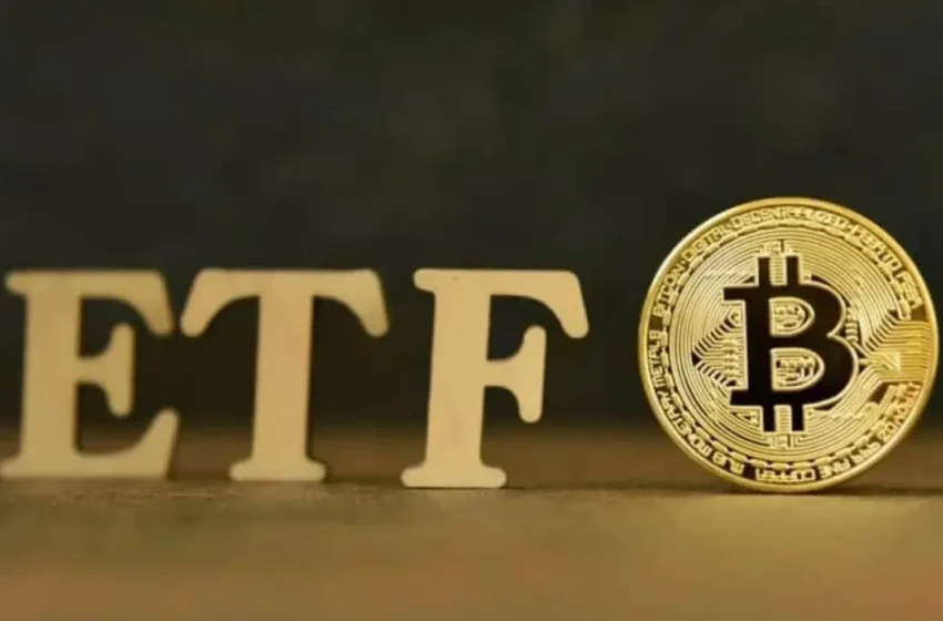  U.S. Spot Bitcoin ETF Market Sees New Growth With Options Trading