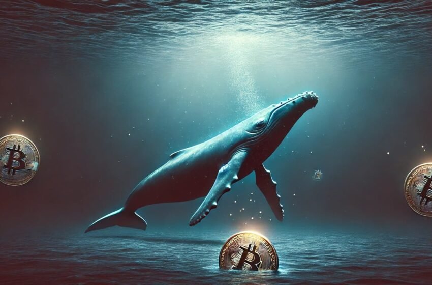 2009 Bitcoin Whale Moves 5 BTC to Kraken, Holds Over 1,200 BTC