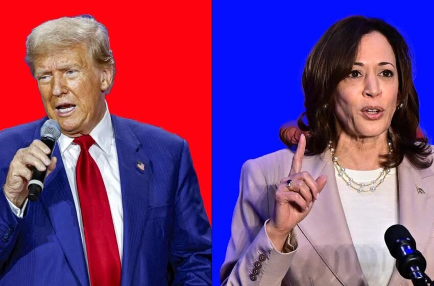  Trump Leads Harris by 7%, Wins Majority of Swing States, Polymarket Betting Shows