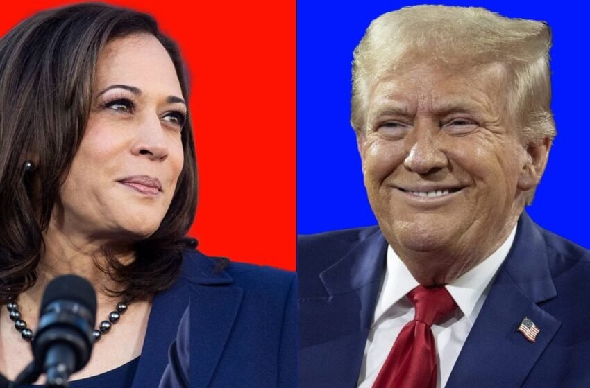  Betting Markets and Polls Show Harris Ahead of Trump as Election Nears