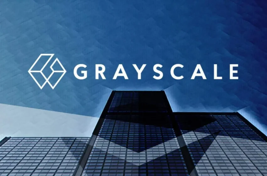  Grayscale Eyes DOGE, Worldcoin and More for Future Investments