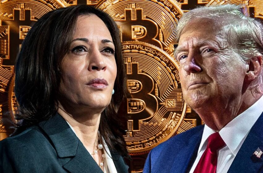  QCP Capital Analysts Highlight Impact of US Elections on Crypto Markets