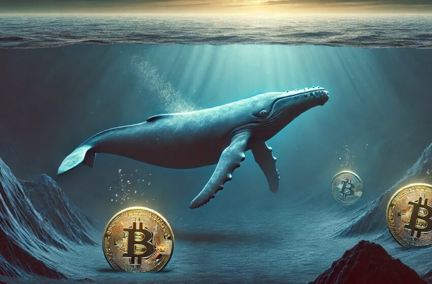  Ancient Bitcoin Wallet Awakens: 399 BTC From 2012 Moved by This Month’s 2011 Whale
