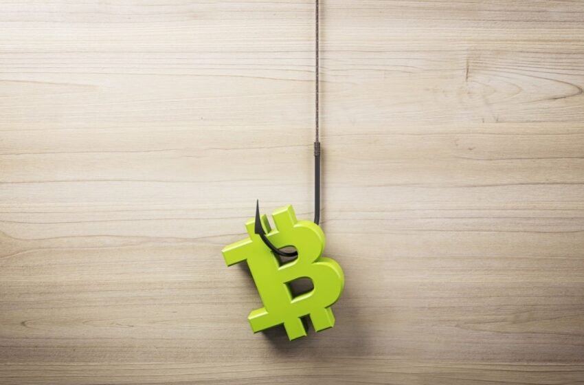  Nigerian Regulator Pledges to Fight Crypto Fraud