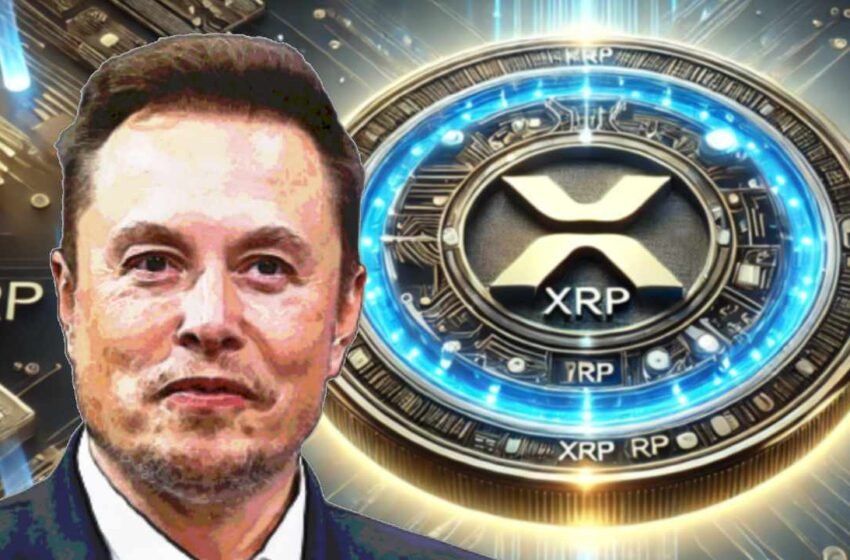  Tesla CEO Elon Musk Highlights XRP and Crypto Potential Amid Regulatory Heat