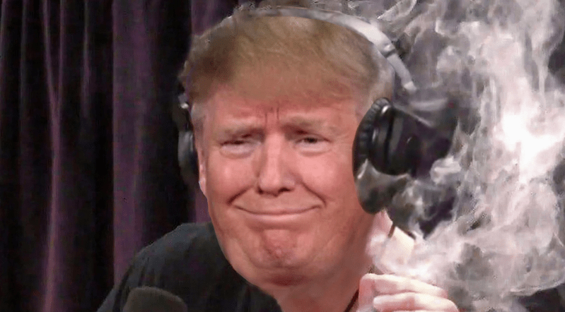  MAGA (TRUMP) Price Up 17%, Is $DUM The Next PolitFi Crypto to Explode