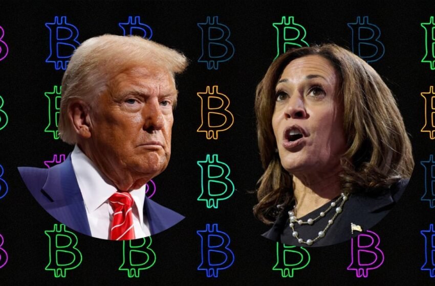  Study: Trump Win Likely to Spark Bullish Trend in Crypto Prices
