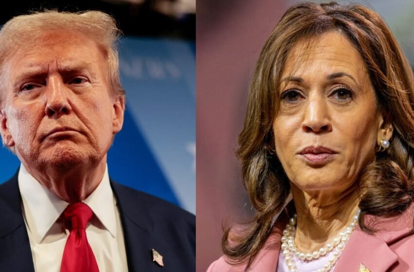  9 AI Chatbots Forecast Bitcoin’s Price Under Trump vs. Harris—Here’s What They See
