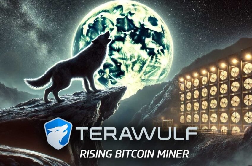  TeraWulf: Overview of a Rising Bitcoin Miner in 2024