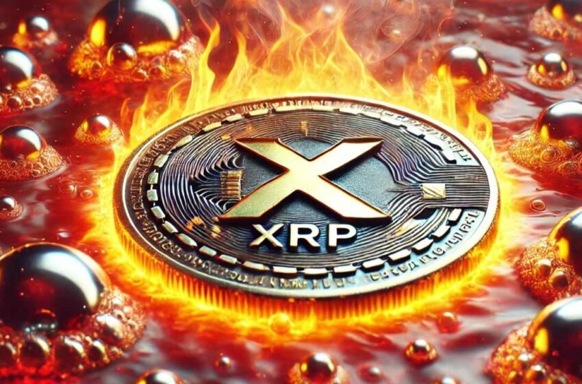  XRP’s Legal Status Unshaken Amid SEC Appeal – Ripple Prepares Counterstrike