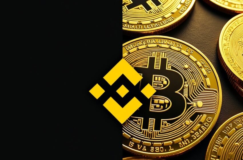  Onchain Analyst: Binance Taps Cold Wallet Reserves as Bitcoin Outflows Spike