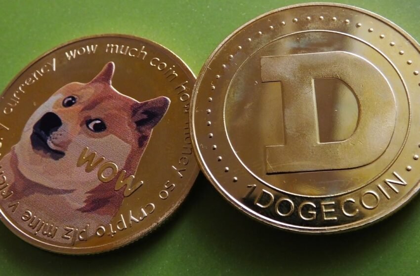  DOGE Nears 50 Cents as Meme Coins Dominate