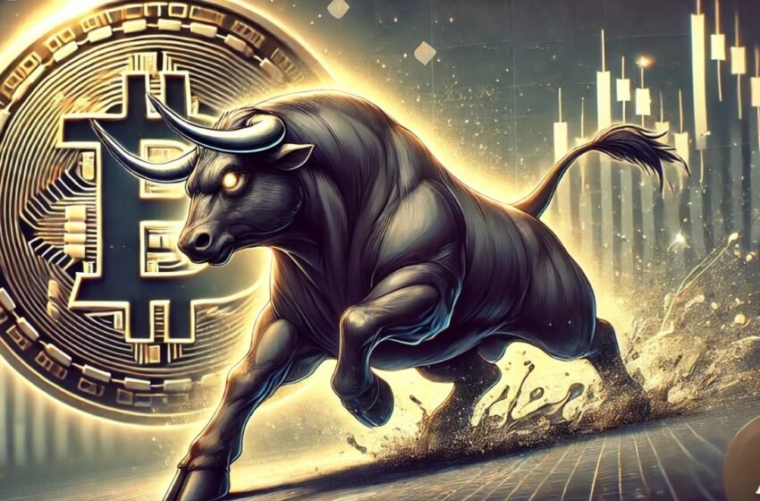  Crypto Bull Market Arrives: Analysts Say ‘Buy Everything You Can’