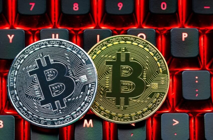  Rising Peaks and Waning Steam—Is Bitcoin’s $100K Milestone Out of Reach?