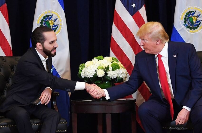  El Salvador Leader and Trump Discuss High Stakes: Dangerous Past and Future Strategy