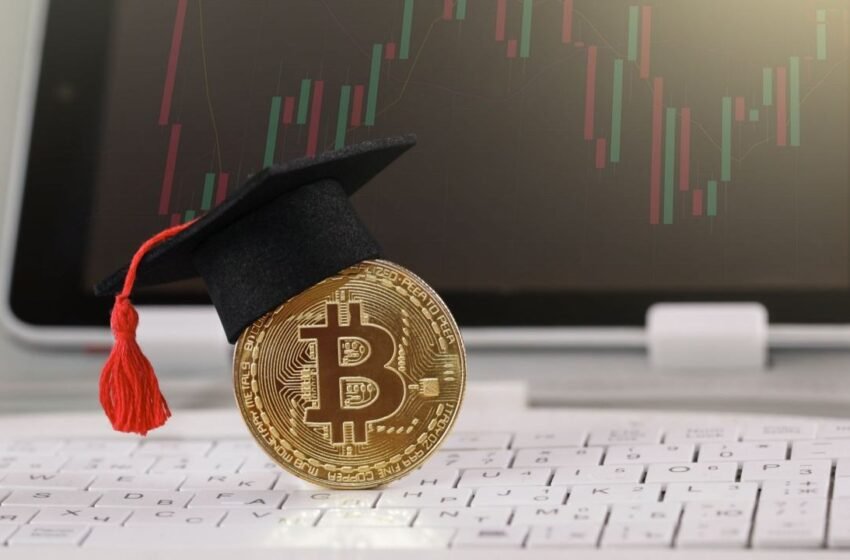  Blockchain Education: A Critical Component for Web3 Adoption, Says Veteran Educator