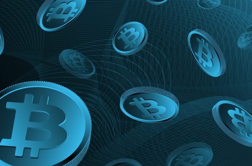  Fewer Bitcoin Moves From Vintage Wallets in October—A Signal to Hold?