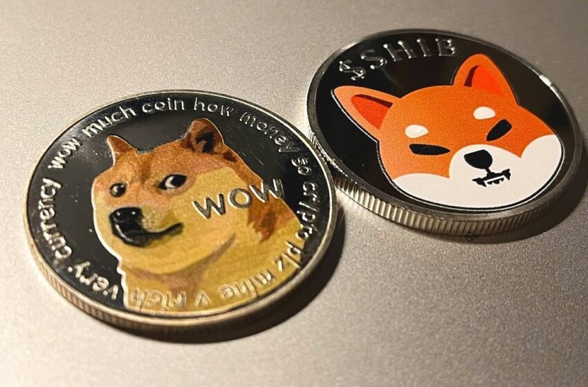  Dogecoin and Shiba Inu Pumping as Bitcoin Passes $75K, Flockerz Could Explode Next