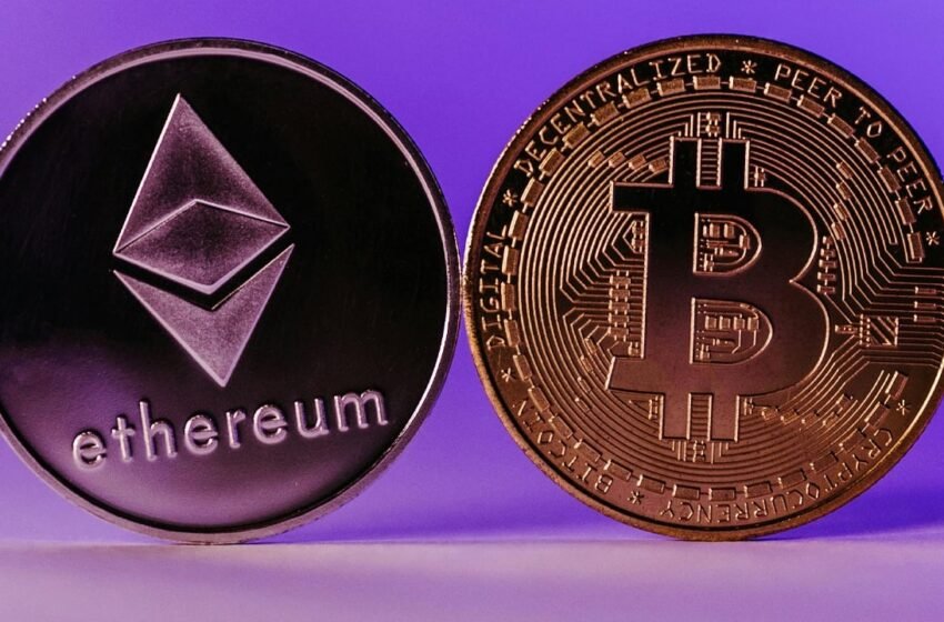  Spot Bitcoin ETFs Post Modest Gains – Which Funds Soared and Which Stumbled?