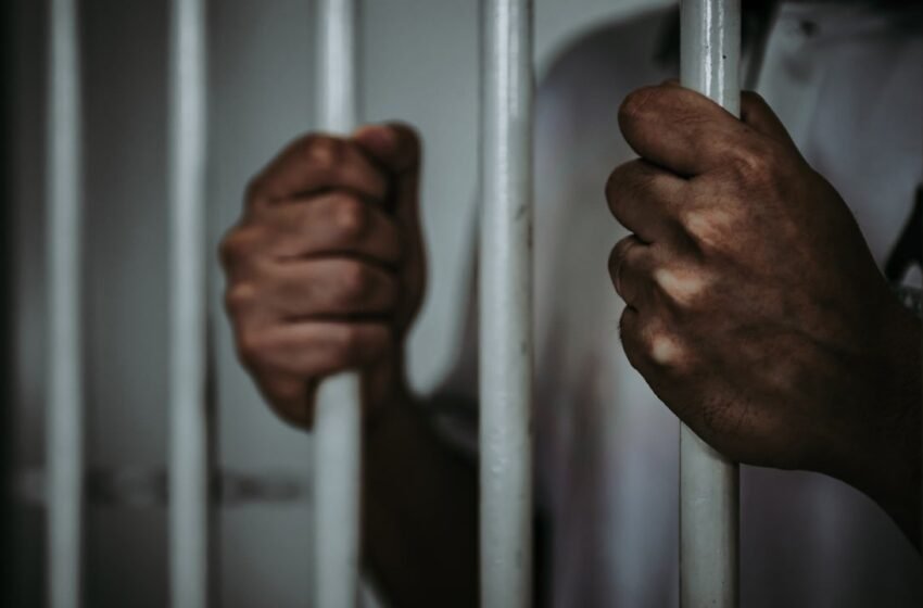  Nigerian Crypto Industry Players Applaud Proposal to Jail Ponzi Operators