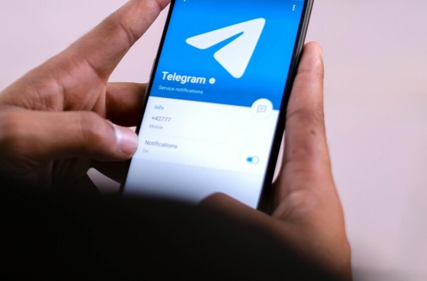  Telegram CEO pledges to hold MAJOR token for a decade: here’s why