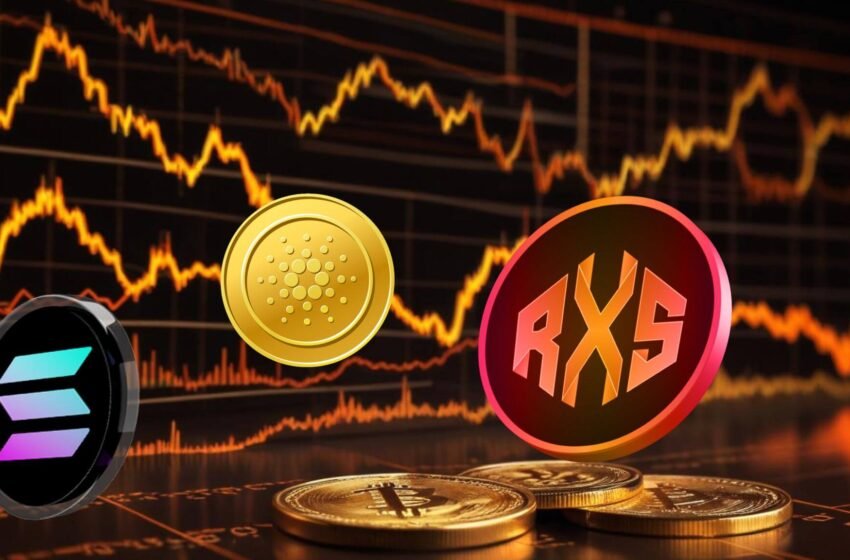  Solana and Cardano investors are betting big on Rexas Finance, is it the next 10x altcoin?