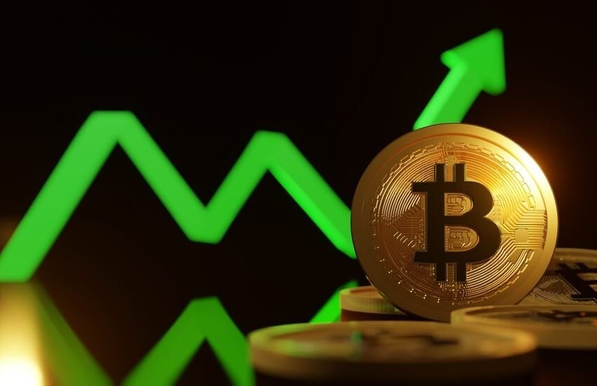  Vantard meme index fund explodes as Bitcoin breaks $94k